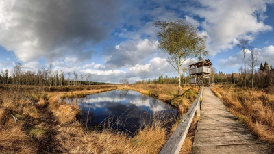 Das Hochmoor Mecklenbruch. (Foto: Touristik-Information Neuhaus und Silberborn)