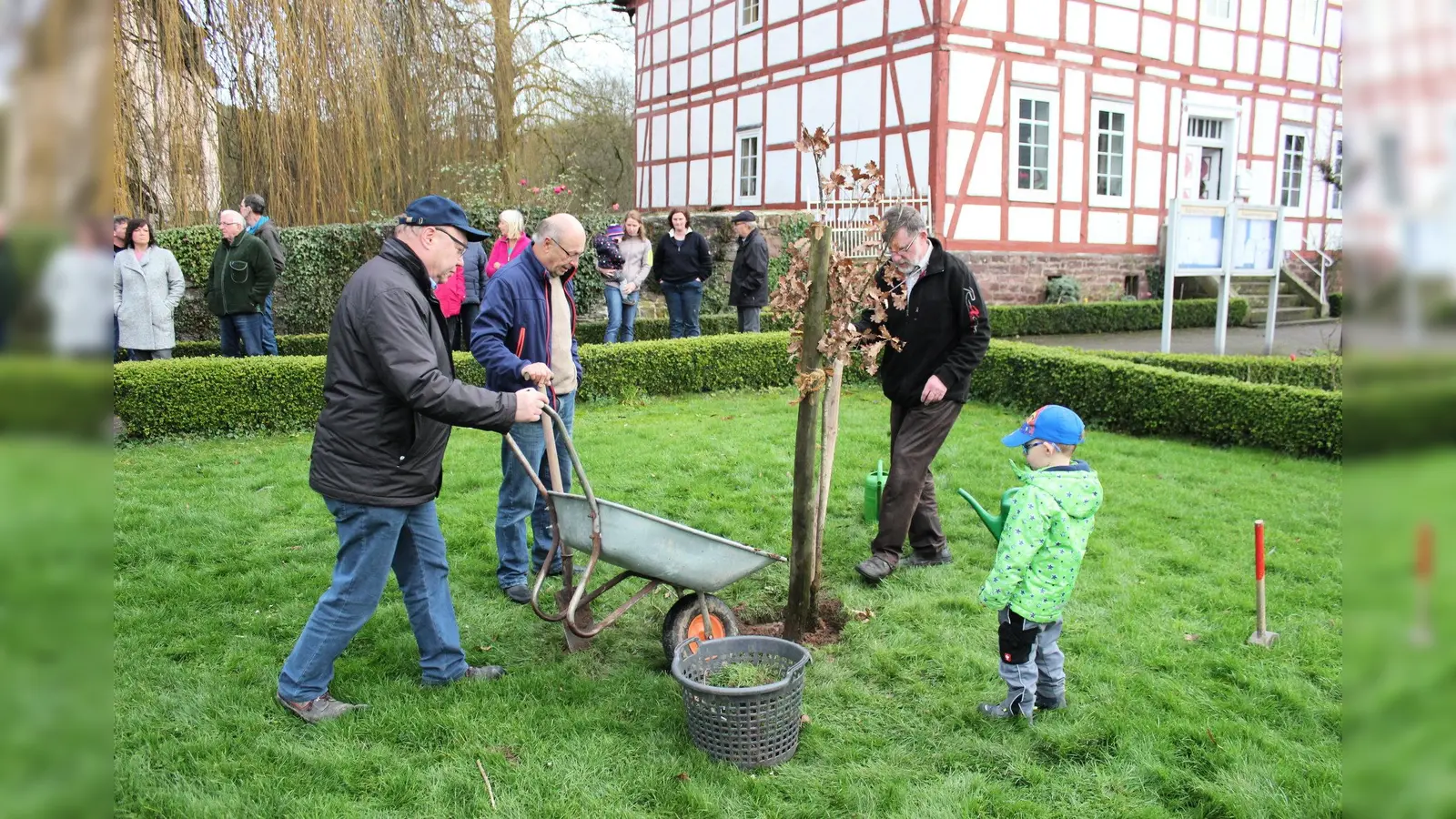 Armin Thies, Thomas Schmidt-Leisler, Karl-Heinz Bickmeier und Lennard Sobireg pflanzen den Eichensetzling. (Foto: Foto: privat)