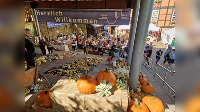 Auf diesem Markt ist der Kürbis König. (Foto: privat)