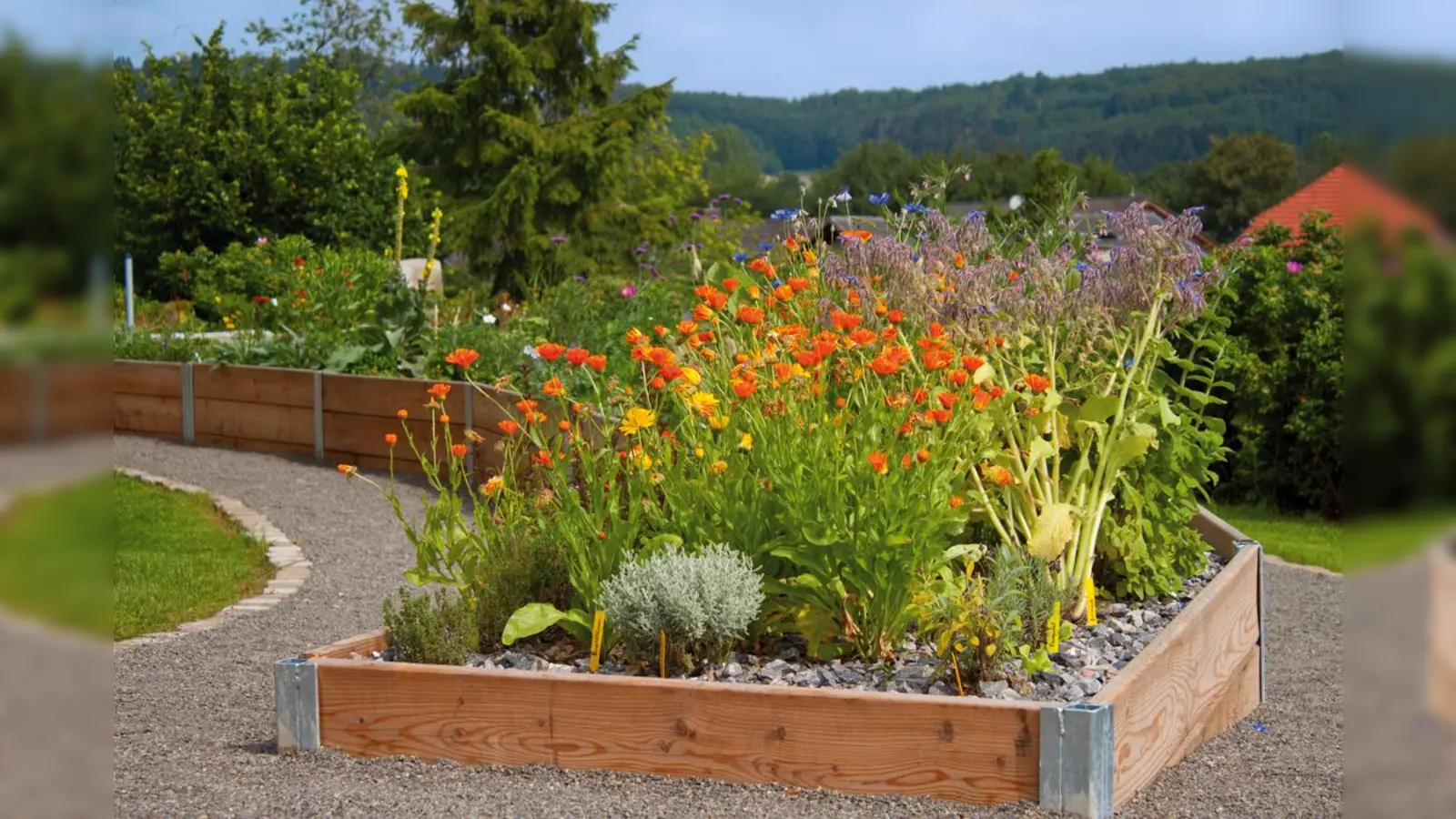 Teil des Sinnesgarten im Klosterhof der Serviam-Schwestern in Germete.  (Foto: Christiane Sasse)