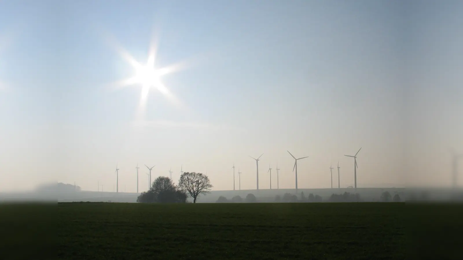 Windenergieanlagen westlich von Bredenborn. (Foto: Ludger Roters)