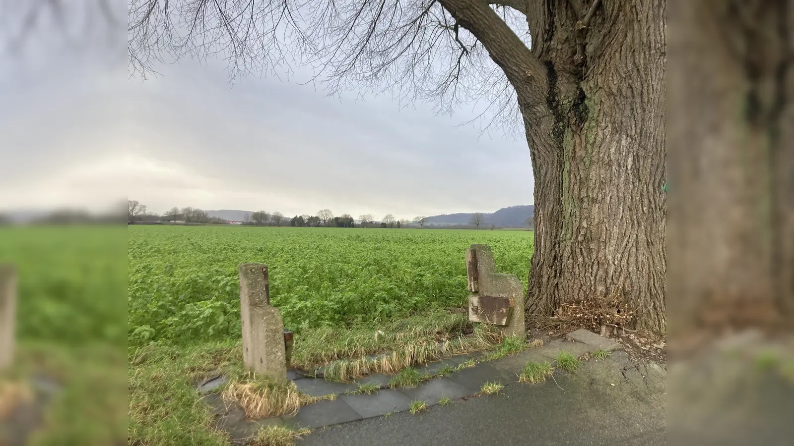 Mehrere Ruhebänke entlang des Steinkrugsweges wurden zum Opfer von Vandalismus. (Foto: Stadt Höxter)