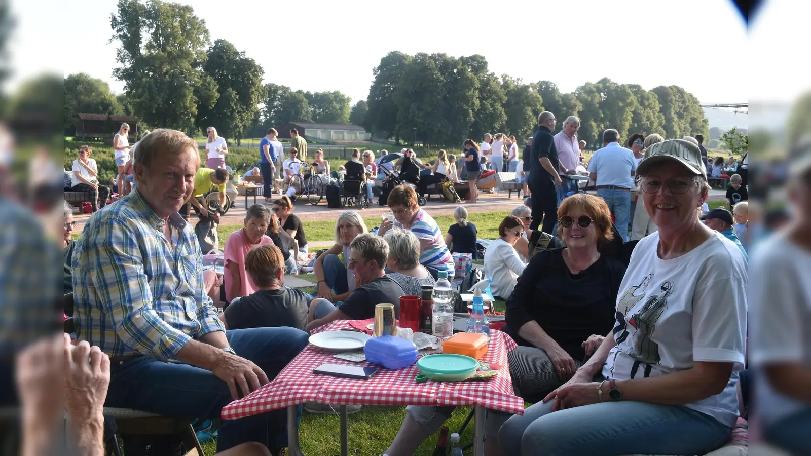 Freundeskreise, Familien oder Kollegenrunden hatten viel Spaß beim Bürgerpicknick auf der Weserscholle.  (Foto: Barbara Siebrecht)