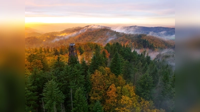 Blick auf den Ebersnackenturm im Herbst (Foto: Marc Sprödefeld)