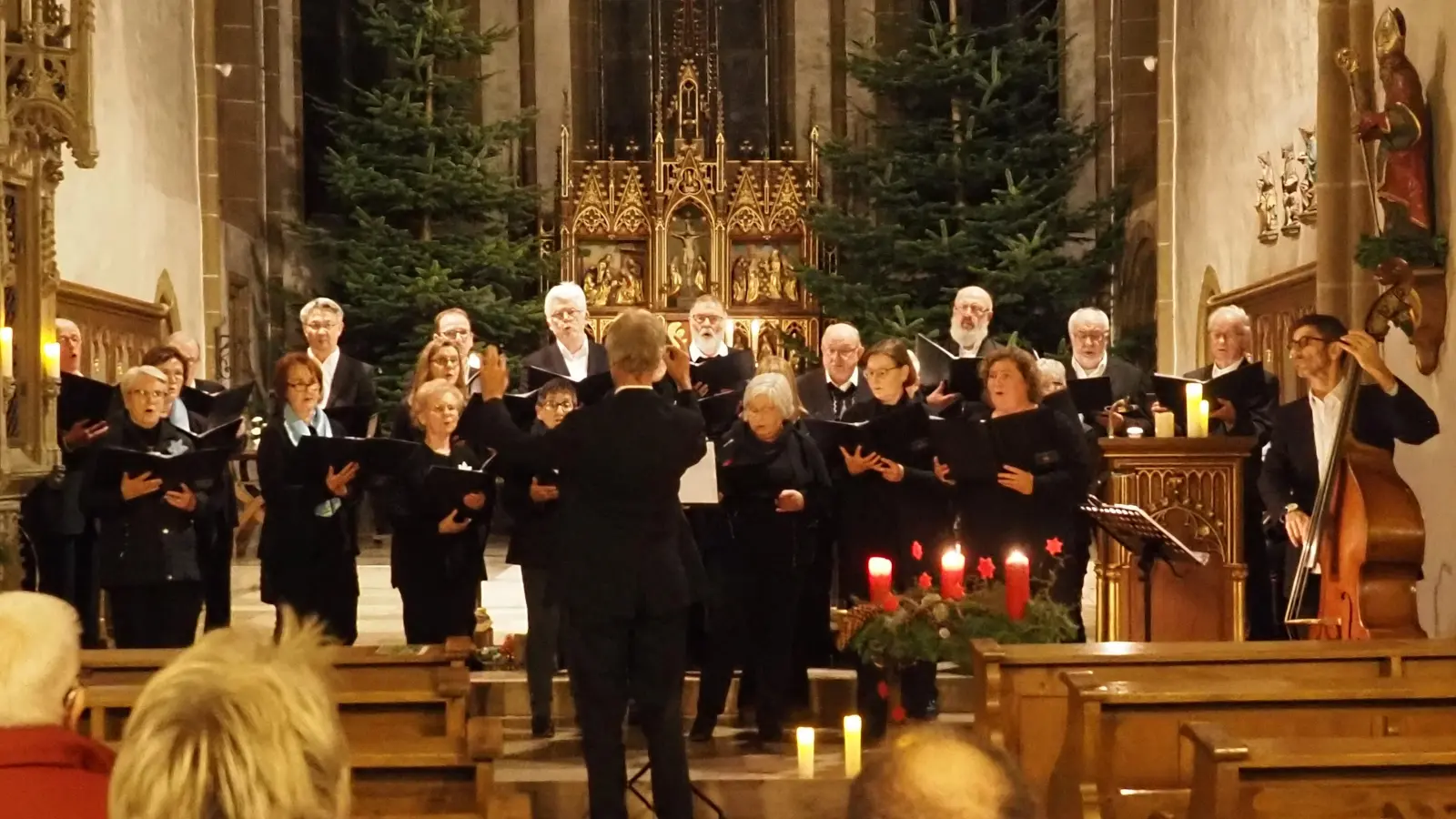 Der Chor beim Adventskonzert in der Pfarrkirche in Nieheim. (Foto: privat)