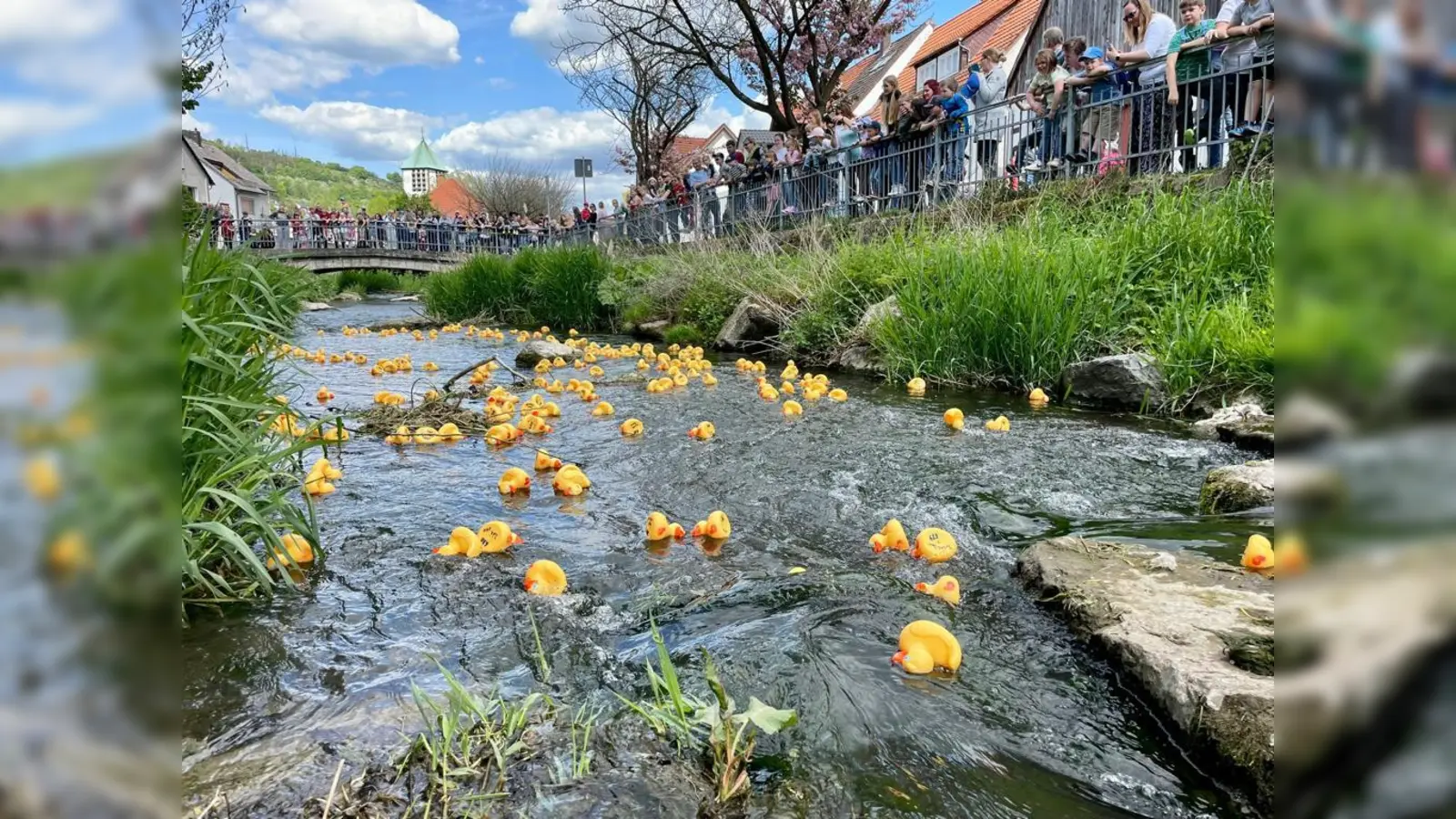 Entenrennen auf der Bever in Dalhausen. (Foto: Förderverein)