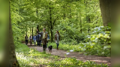 Waldführung im FriedWald. (Foto: FriedWald GmbH)