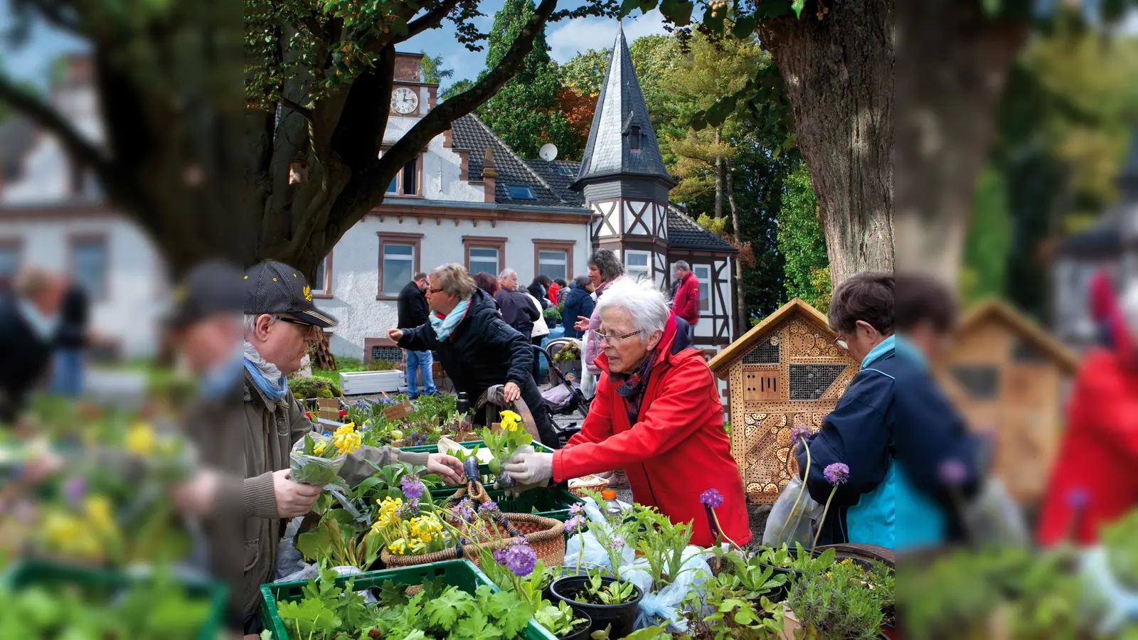 Pflanzenflohmarkt in Germete. (Foto: C. Sasse)