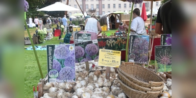 Blumenzwiebeln für die Herbstpflanzung wurden vor der Kulisse des Schlosses Corvey angeboten (Foto: Barbara Siebrecht)