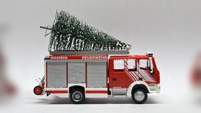 Die Weihnachtsbäume werden abgeholt.  (Foto: Feuerwehr Beverungen)