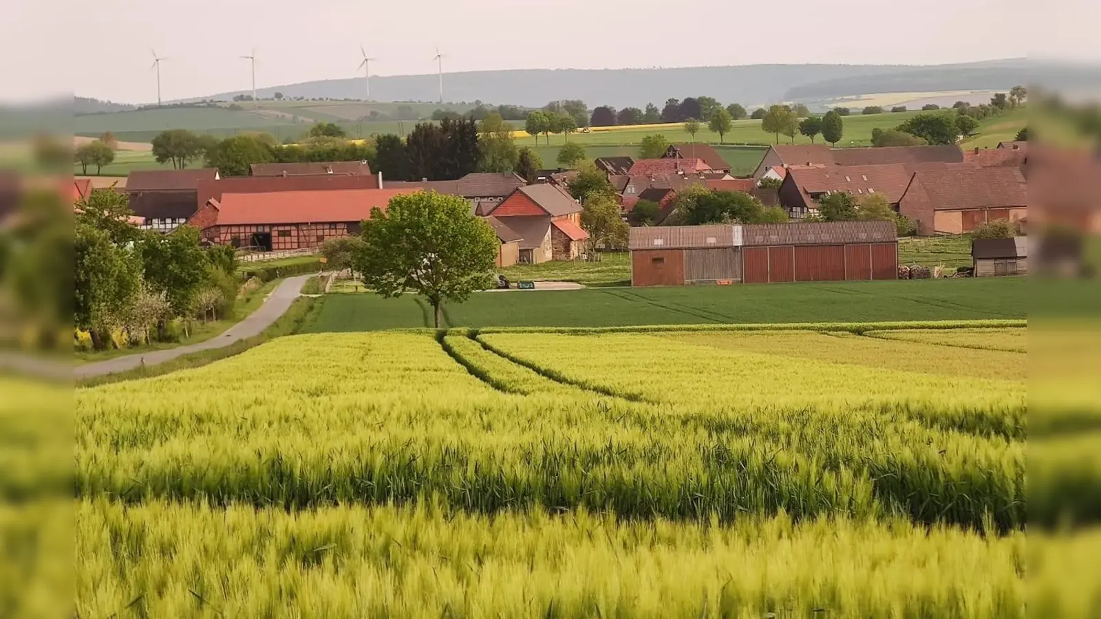 Blick auf Uslar-Vahle. (Foto: Touristik-Information Uslar)