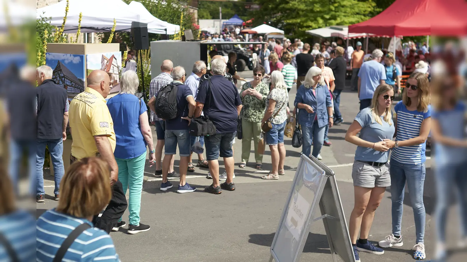 Unzählige Besucher genossen die familiäre Atmosphäre und das vielfältige Angebot: Neben regionalen Leckereien gab es Kleinkunst und unterschiedliche Informationen aus und um die Diemelstadt. (Foto: Stefan Bönning)