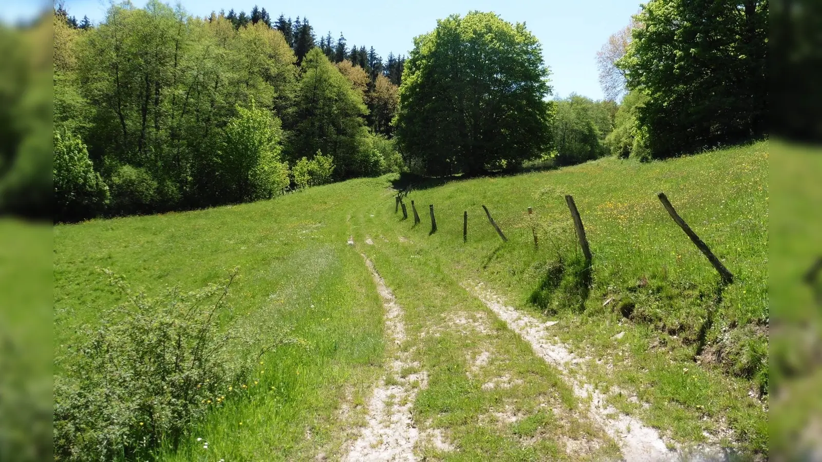 Führung im Hellental. (Foto: Dr. Klaus A.E. Weber)