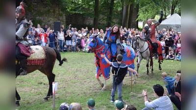 Darsteller und Zuschauer kamen sich beim Ritterturnier ganz nah. (Foto: Marc Otto)