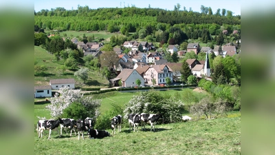 Dorfansicht von Hellental. (Foto: Dr. Klaus A.E. Weber)