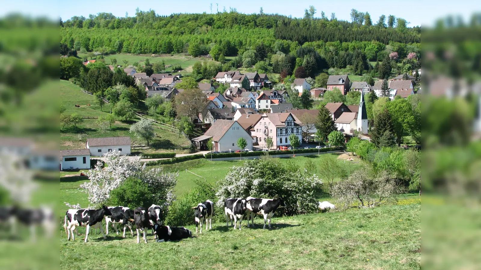 Dorfansicht von Hellental. (Foto: Dr. Klaus A.E. Weber)