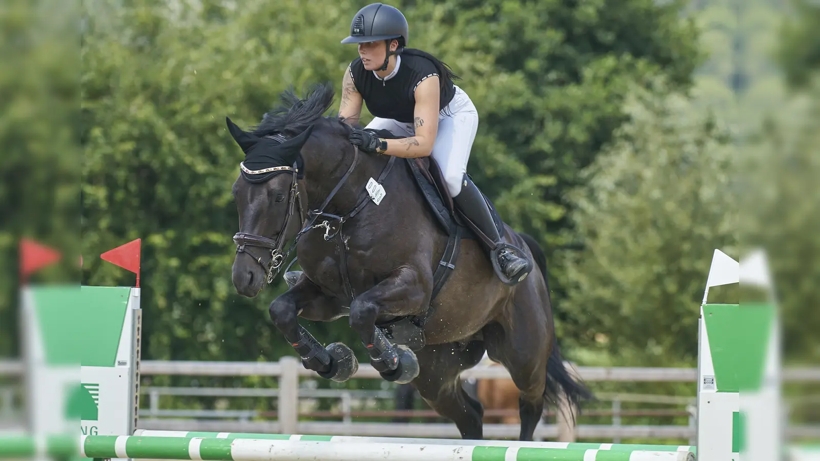 Hochklassigen Reitsport, hier bei der Springprüfung der Klasse L, erlebten Besucher und Aktive beim Hofgeismar Open. (Foto: Stefan Bönning)